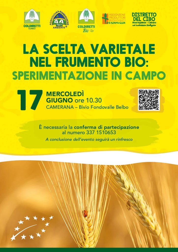 La scelta varietale nel frumento Bio